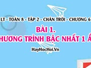 Phương trình bậc nhất một ẩn và cách giải? Toán 8 chân...